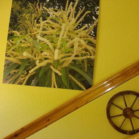 Hostal El Peregrino La Portela de Valcarce Zewnętrze zdjęcie